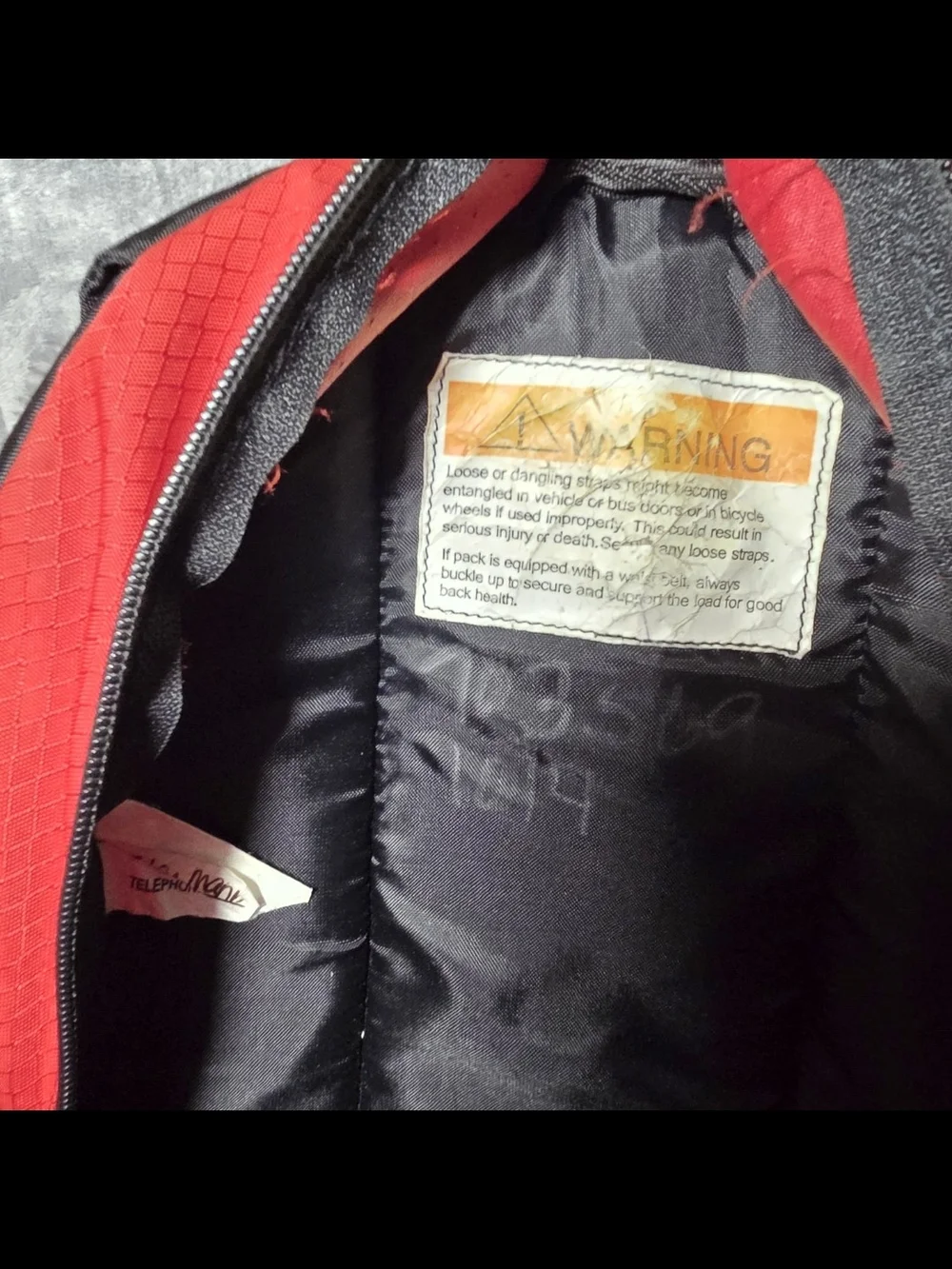 Vintage L.L. Bean Deluxe Red Backpack with White Snake Graphic